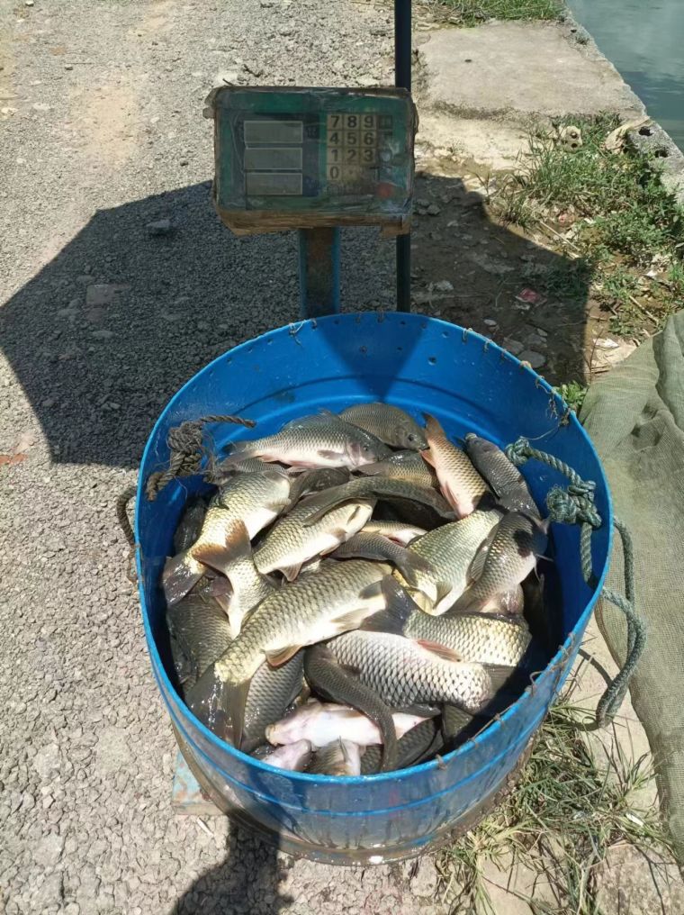 微信图片_202207011659521.jpg