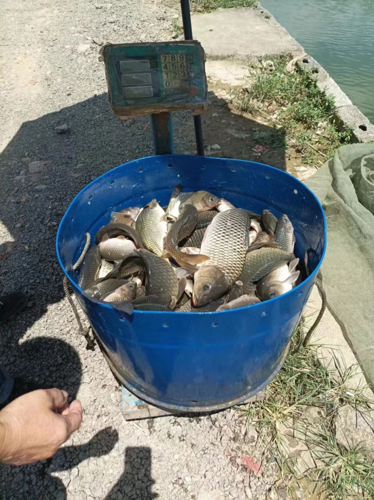 微信图片_202207011659522.jpg