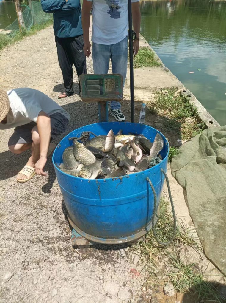 微信图片_202207011659526.jpg