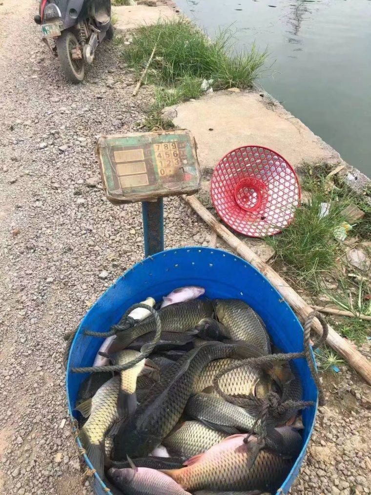 微信图片_202207291701507.jpg