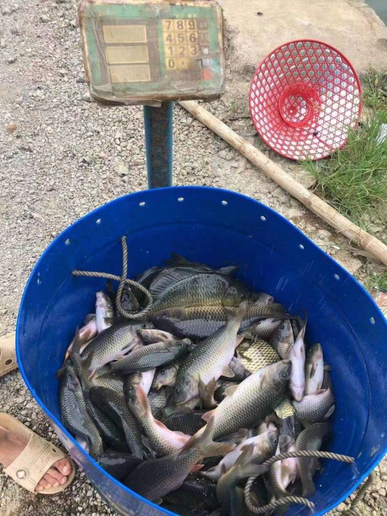 微信图片_202207291701501.jpg