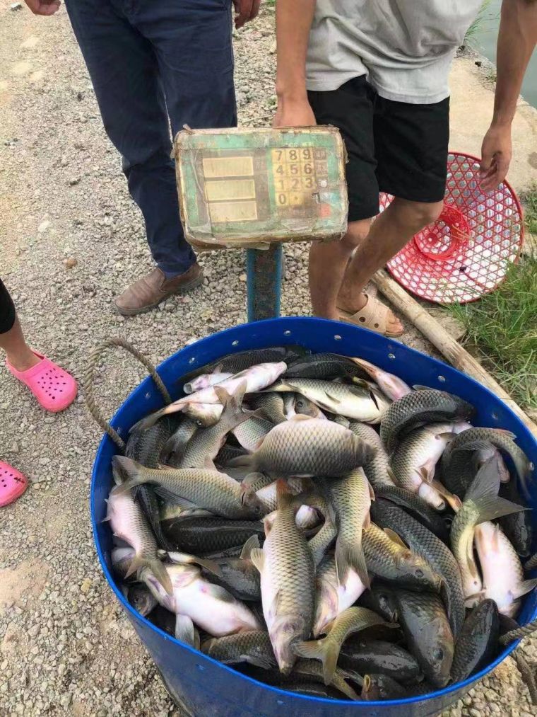 微信图片_202207291701502.jpg