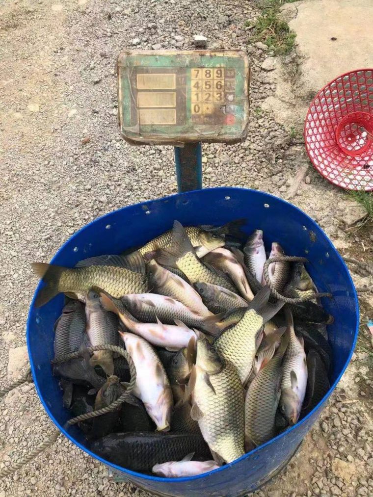 微信图片_2022072917015012.jpg