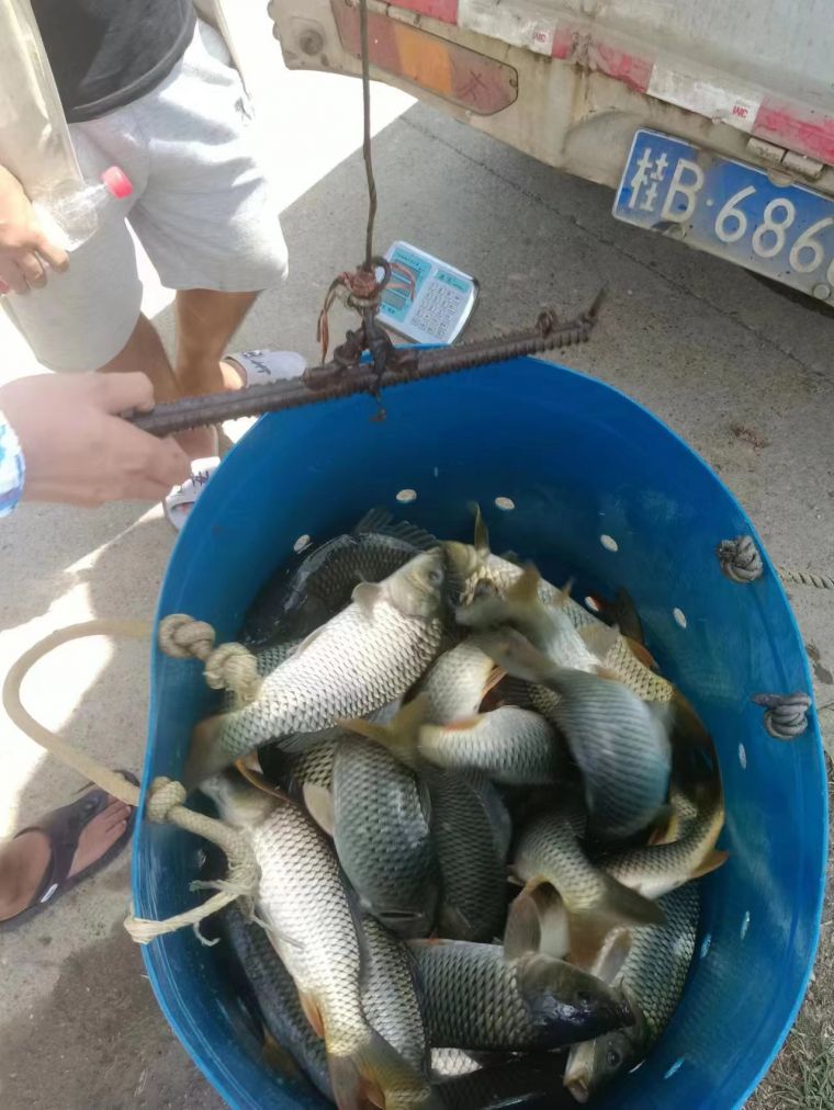 微信图片_202208231724165.jpg