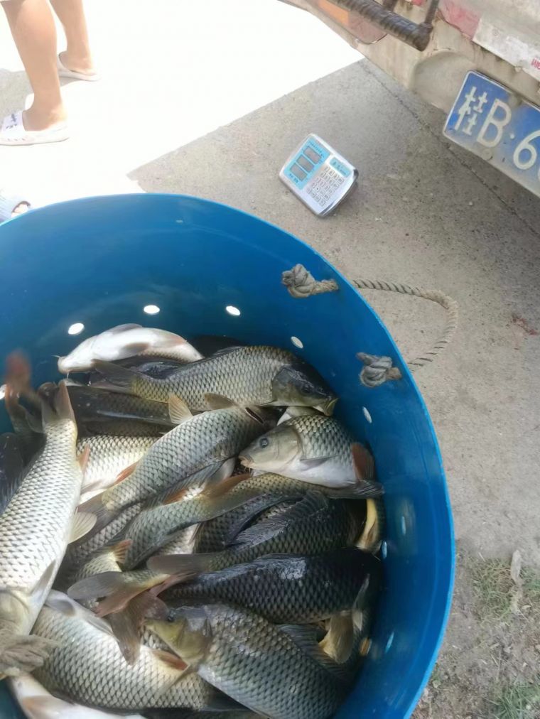 微信图片_202208231724166.jpg