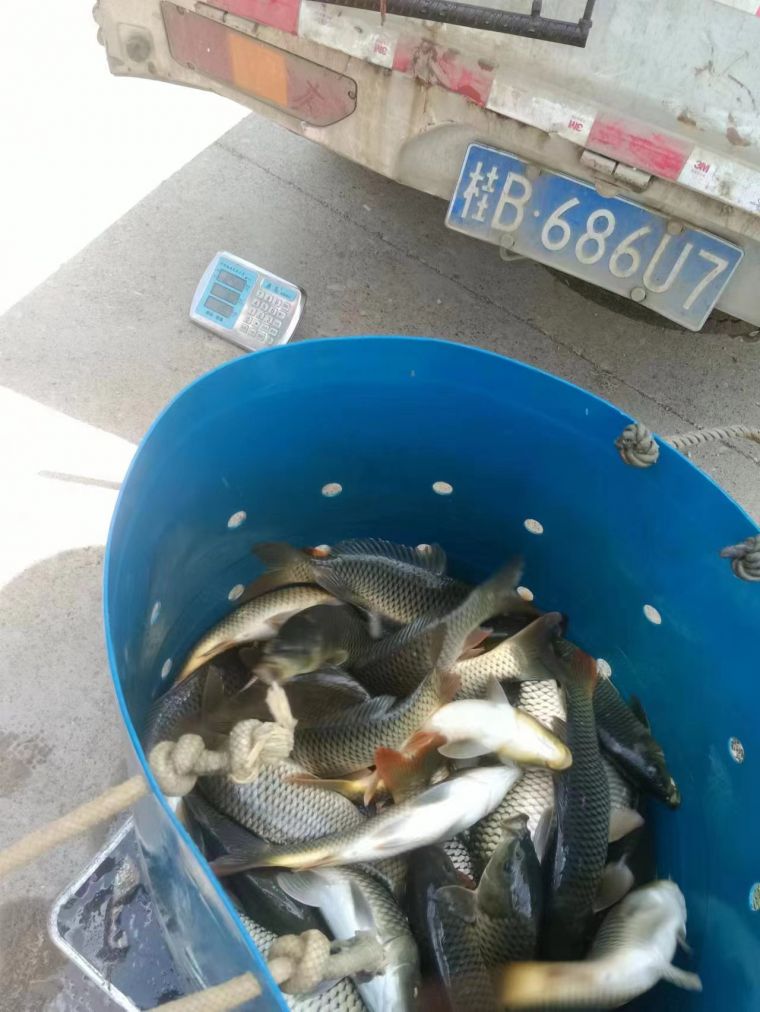 微信图片_202208231724161.jpg