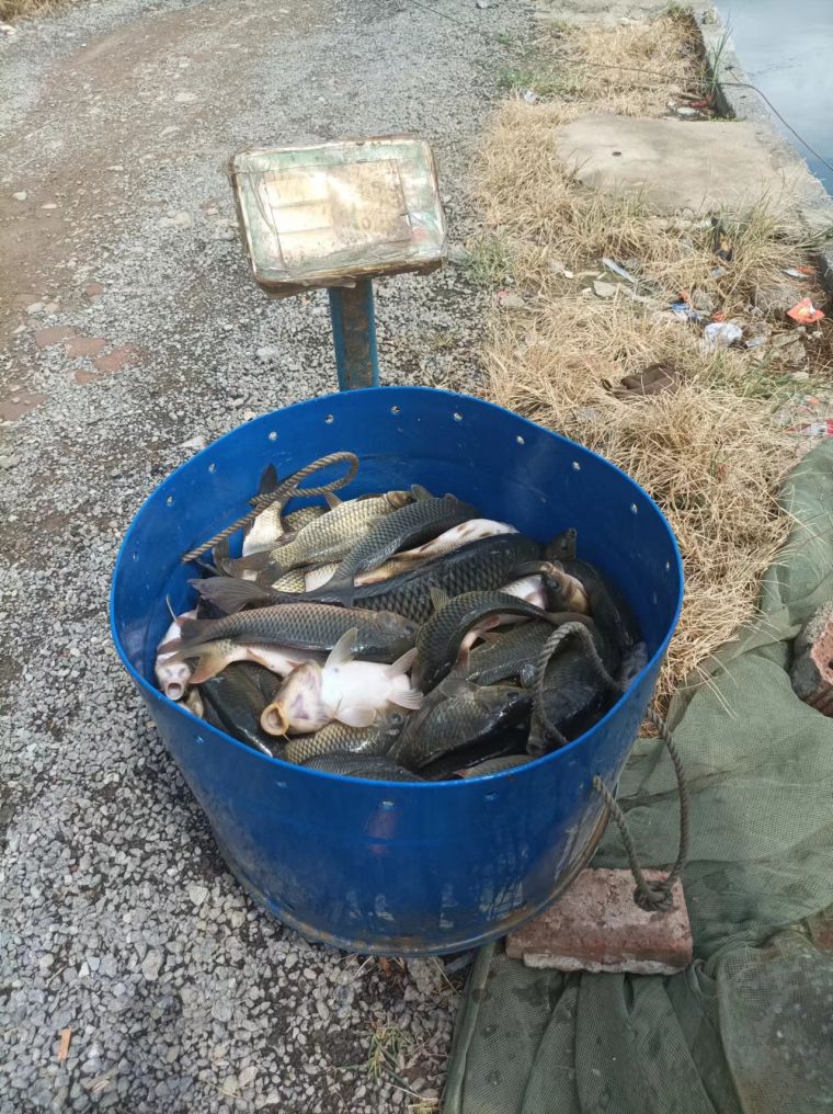 微信图片_202208261703353.jpg