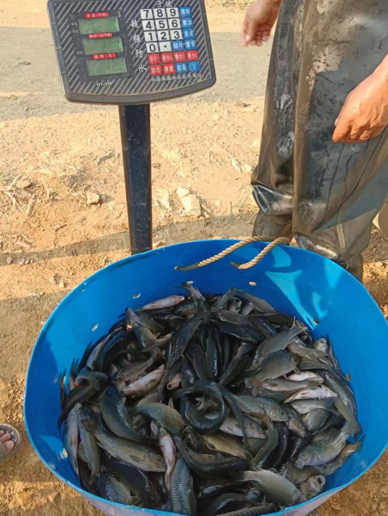 微信图片_202209272005008.jpg
