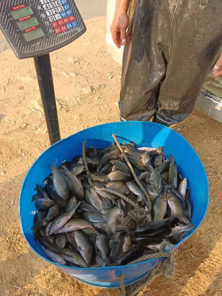 微信图片_202209272005005.jpg
