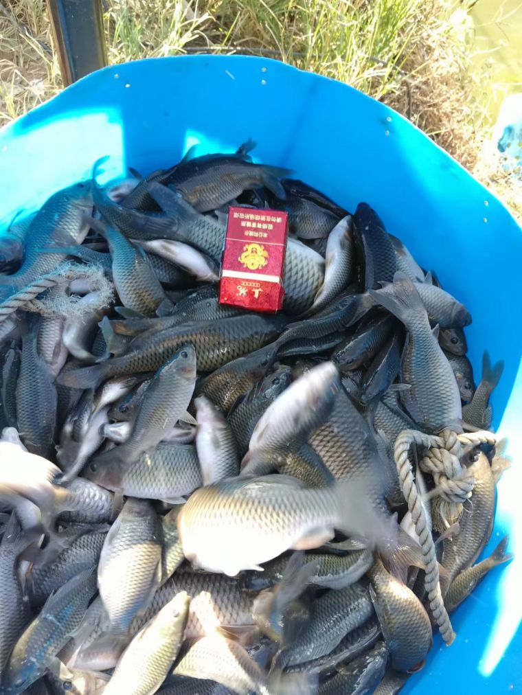 微信图片_202210101741512.jpg