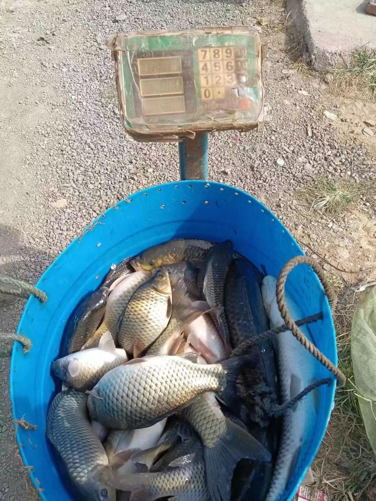 微信图片_2022110417045913.jpg