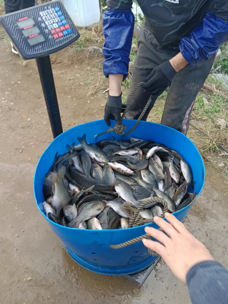 微信图片_202301132008252.jpg