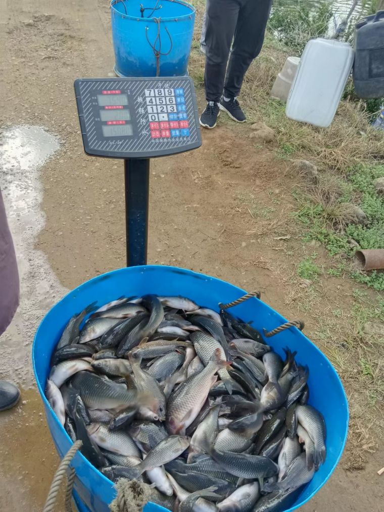 微信图片_202301132008253.jpg