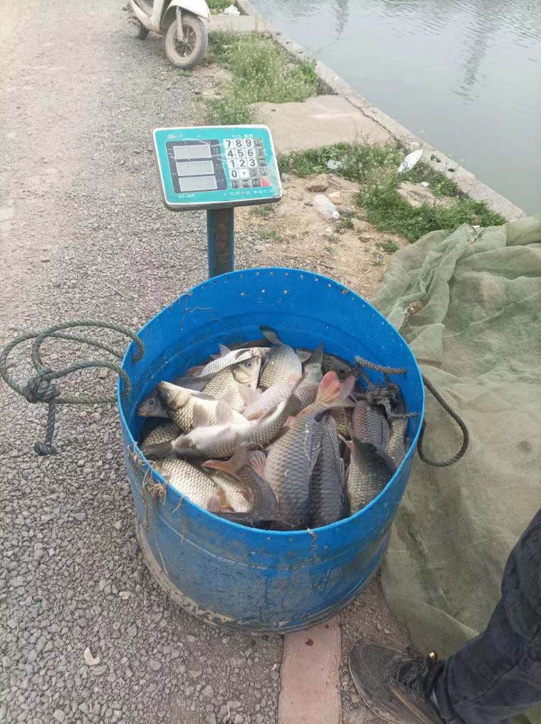 微信图片_202303031656247.jpg