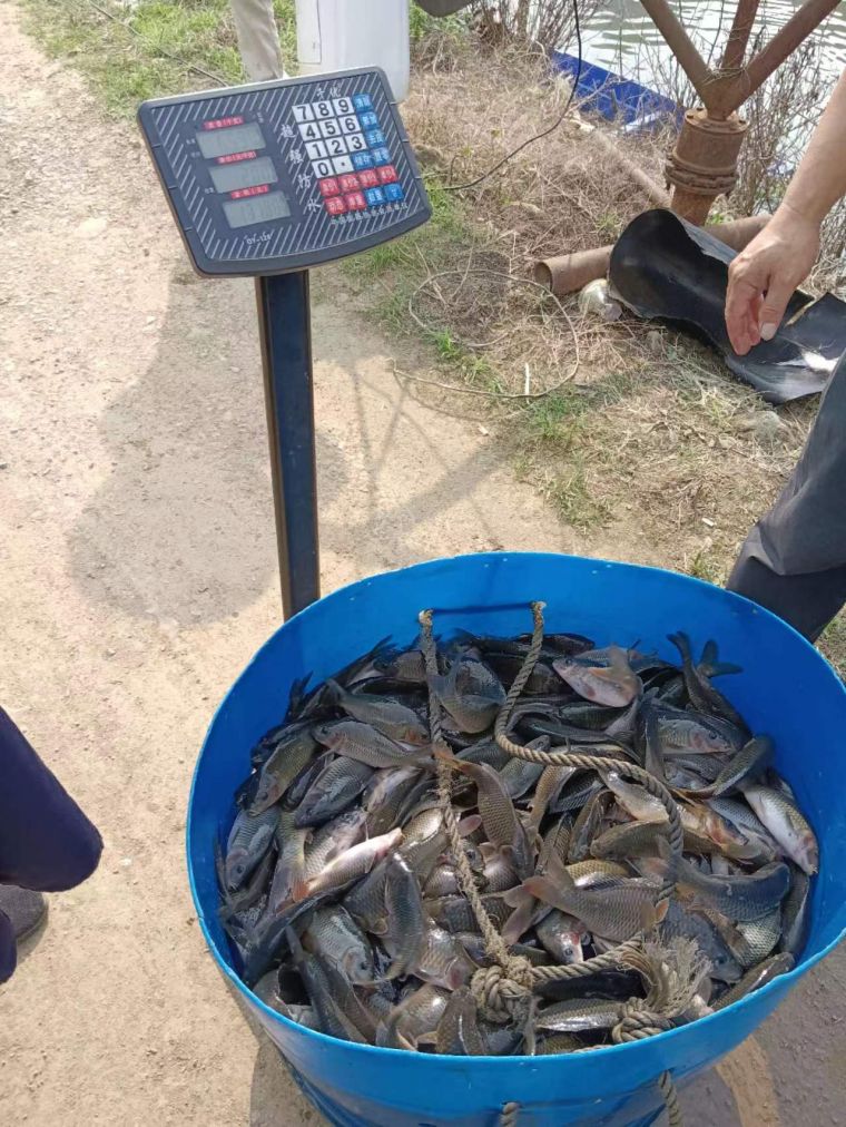 微信图片_2023050619430110.jpg