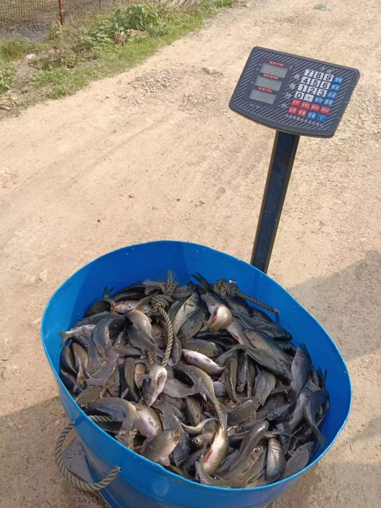 微信图片_2023050619430112.jpg