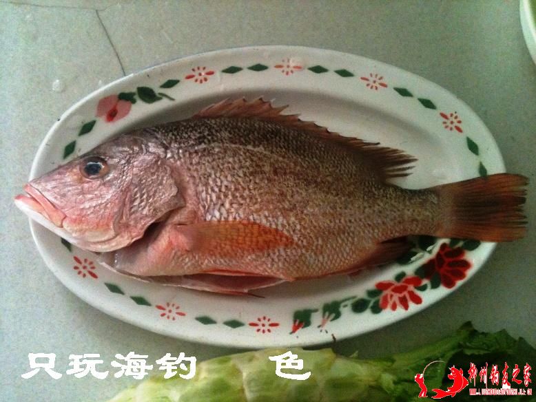 红鱼1.jpg