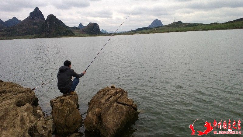 不会钓鱼的朋友直接蹲在石头上