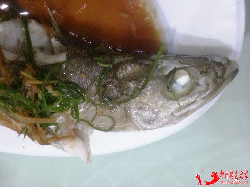 清蒸海鲈鱼-8