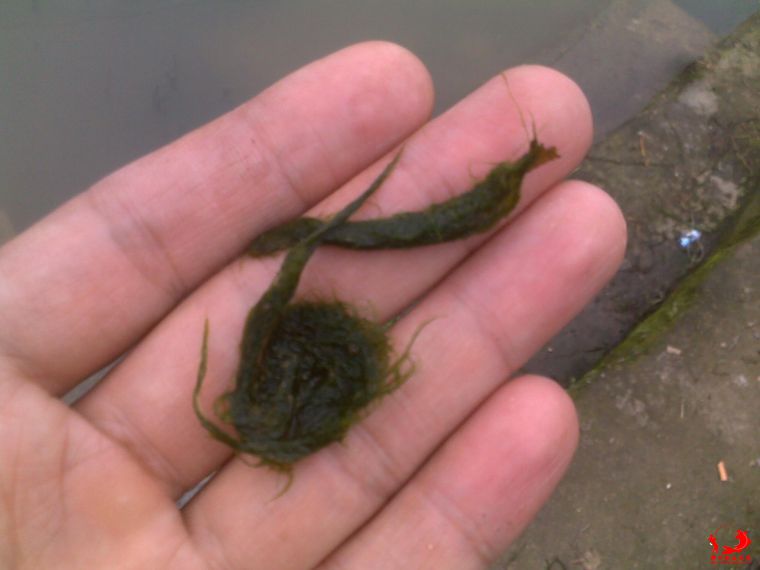 字个可以用咩？