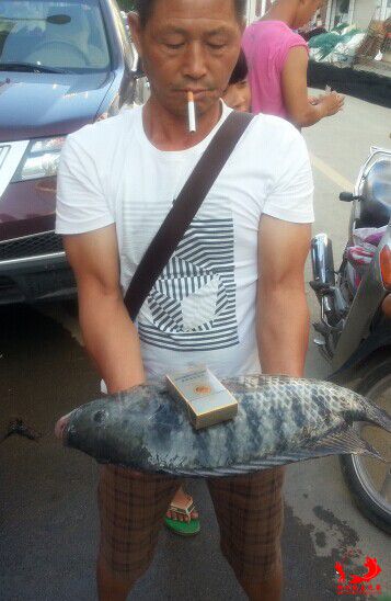 QQ图片20140809190909.jpg
