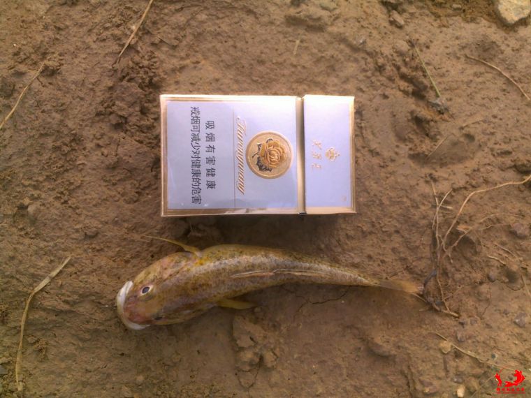QQ图片20140928195603.jpg