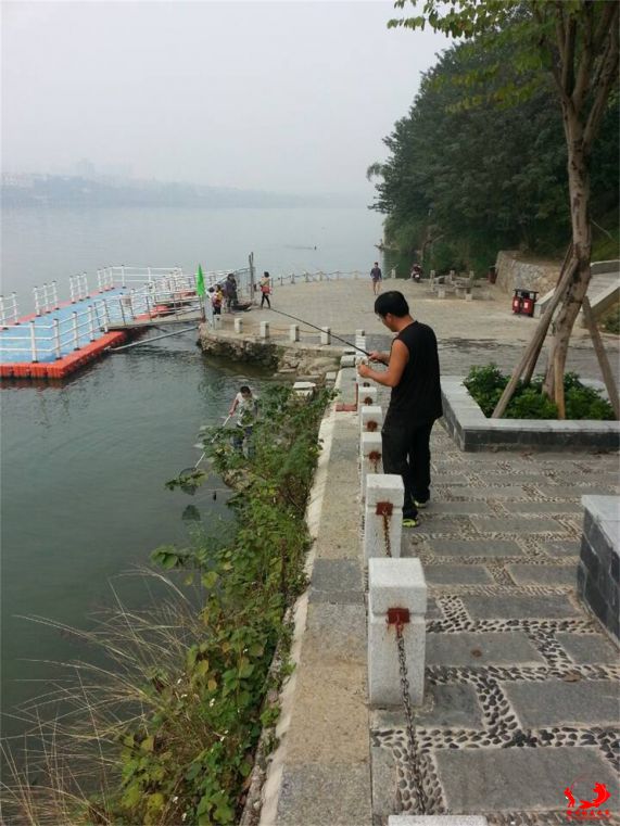 鱼29.jpg