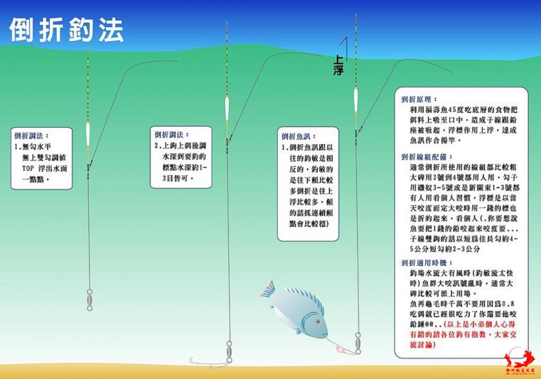  信号和台钓相反 往上顶就有鱼  鱼情狂必备