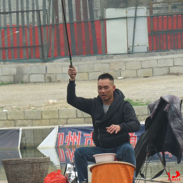IMG_4973.jpg